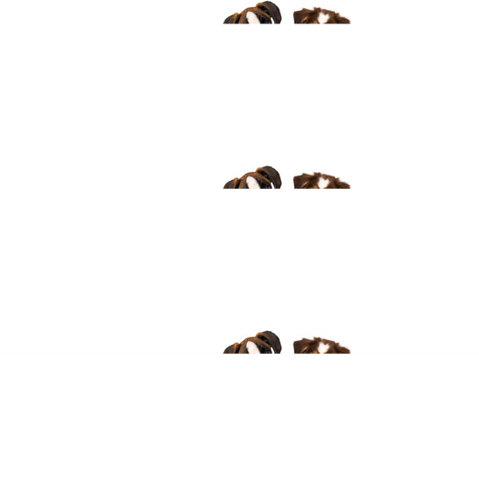 Pet Dog Raincoat Waterproof Reflective Rain Coat Cute Bear Shape Dog