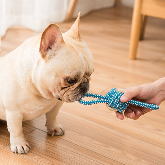 Interactive Cotton Rope Mini Dog Toys Ball for Dogs