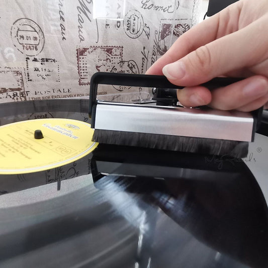 Professional Vinyl Record Brush Portable