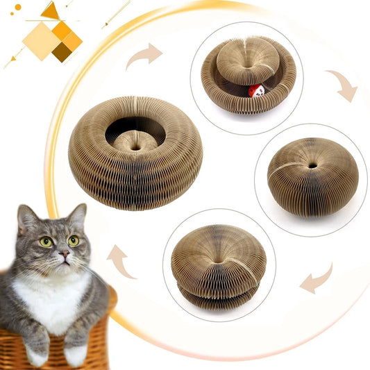 Magic Cat Scratch Organ Board Cat Toy with Ball Cat