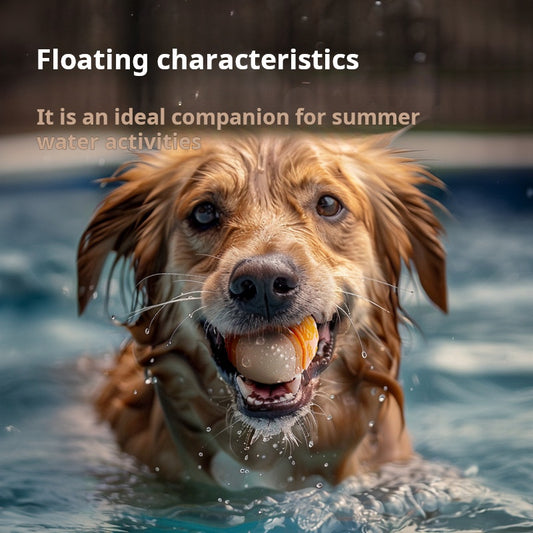 Dog Bounce Ball Toy Squeak Pet Toy Resistant Ball Pet Training Ball