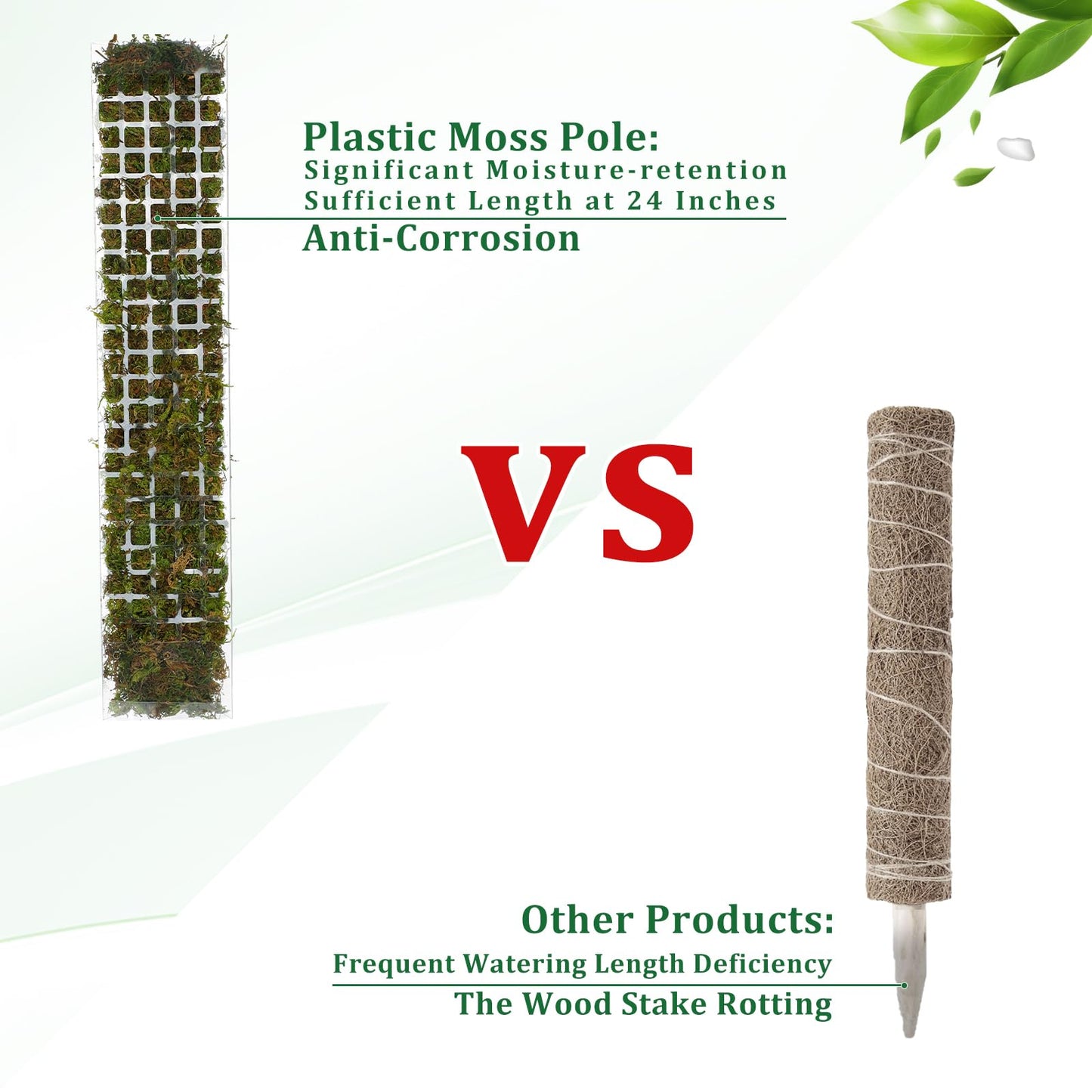 Moss Pole Plastic Plant Stand Indoor Climbing Plants Guardian Tutors