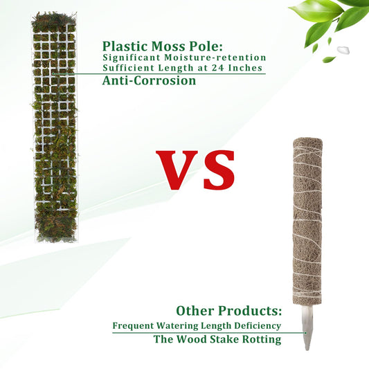 Moss Pole Plastic Plant Stand Indoor Climbing Plants Guardian Tutors