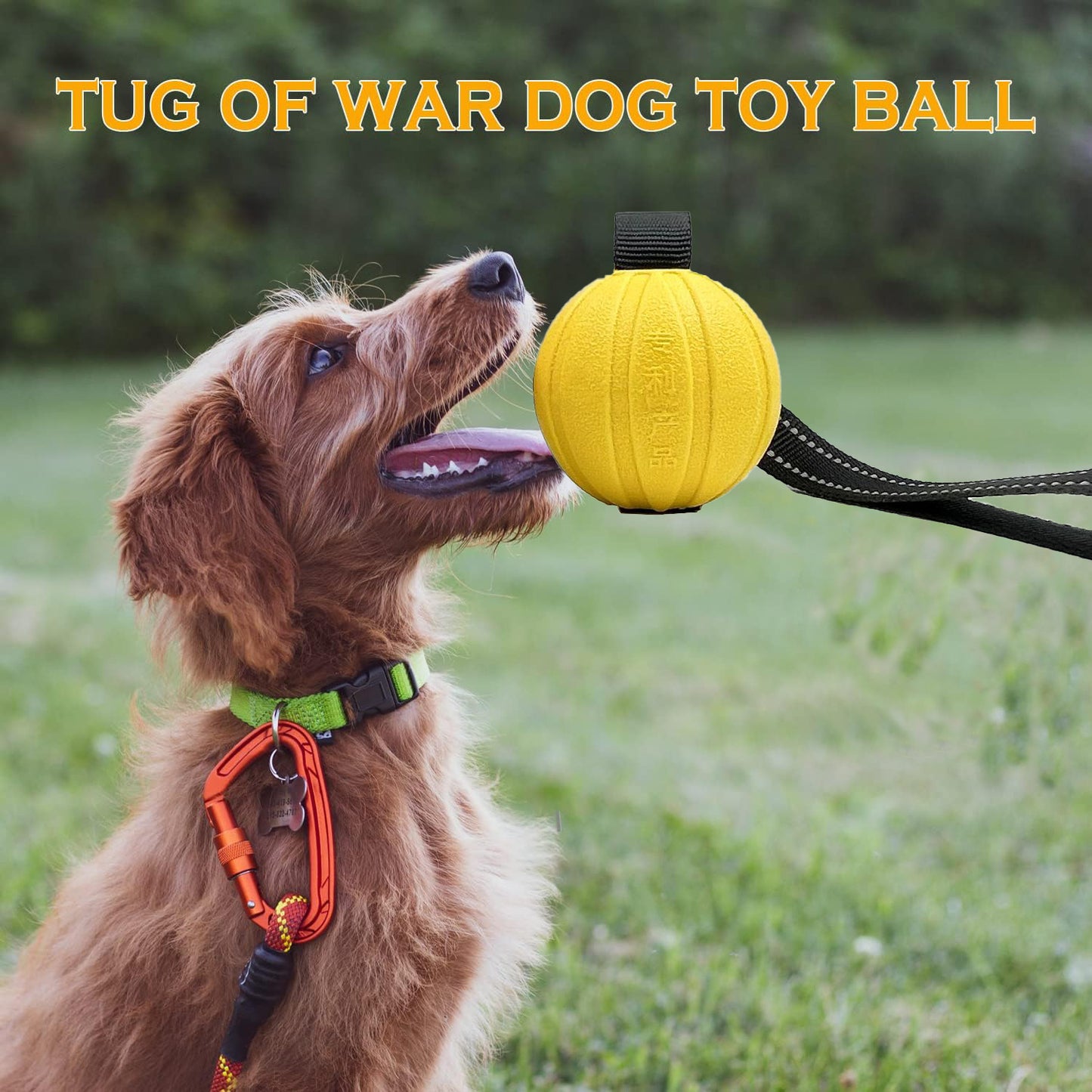 Dog Toy Balls On a Rope for Small Medium Large Dogs