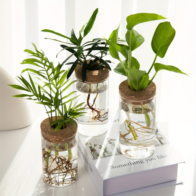 Hydroponics Plants Desktop Glass Planter Vase