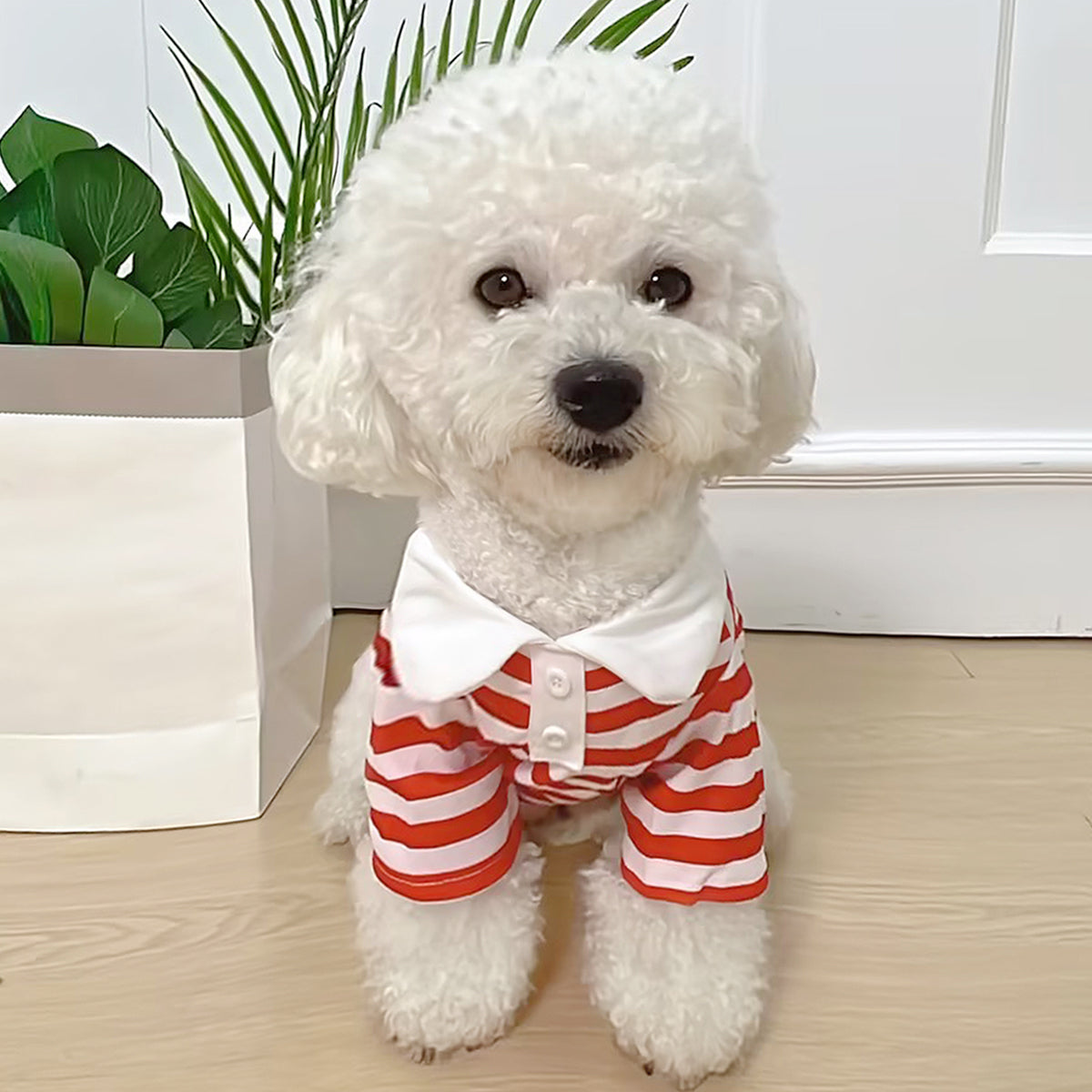 Dog Clothes Teddy York Shire Polo Shirt Summer Dress Striped