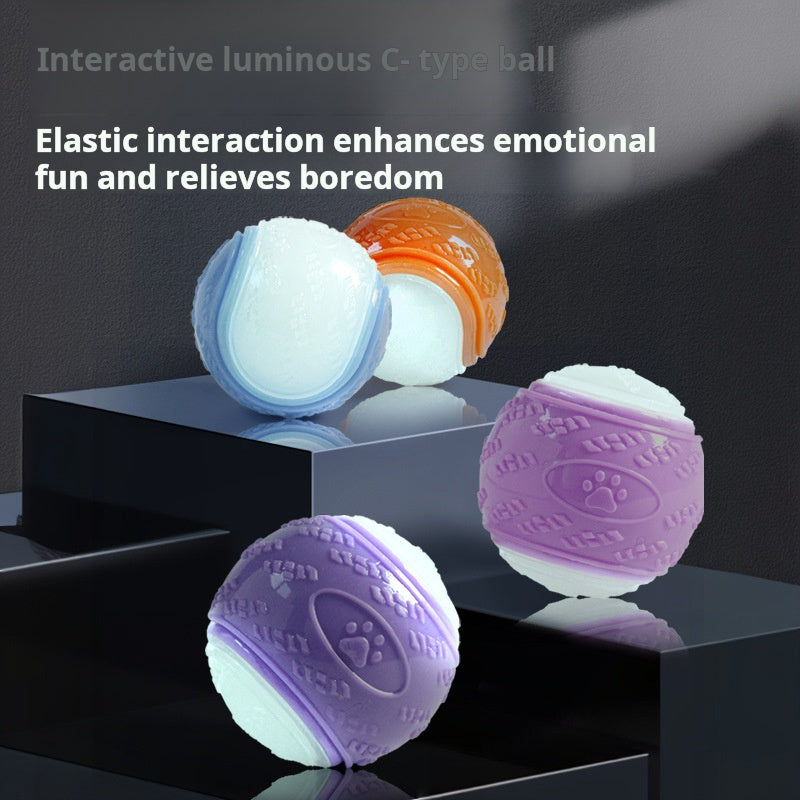 Dog Bounce Ball Toy Squeak Pet Toy Resistant Ball Pet Training Ball