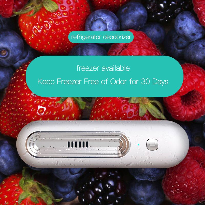 Refrigerator Deodorizer Air Purifier Refrigerator Deodorizer
