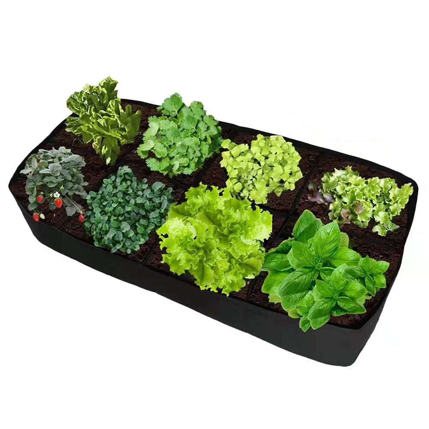 Garden Planting Bag with Multi-Grid Design