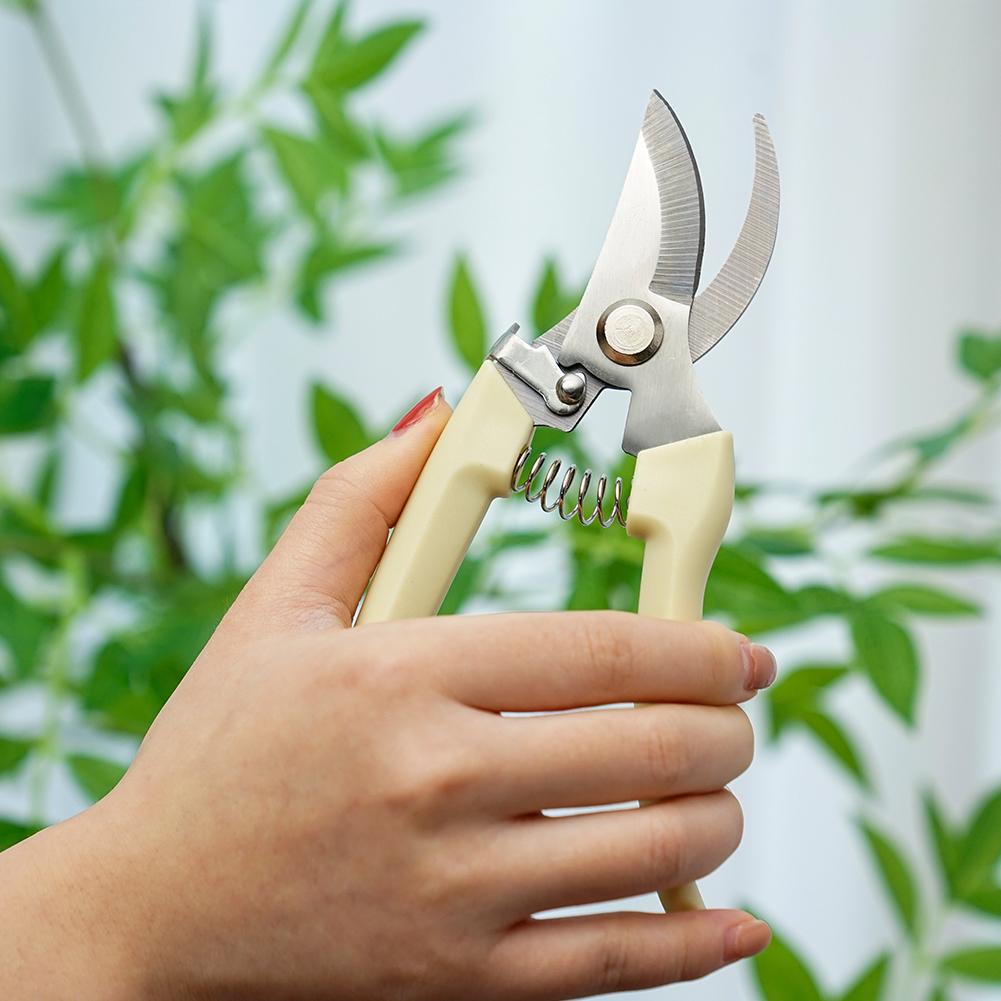 Pruning Garden Scissors Professional Outdoor Gardening