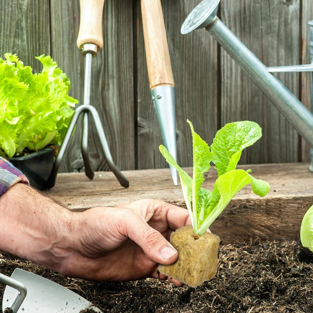 Seedling Grow Cubes Vegetable Planting Cube