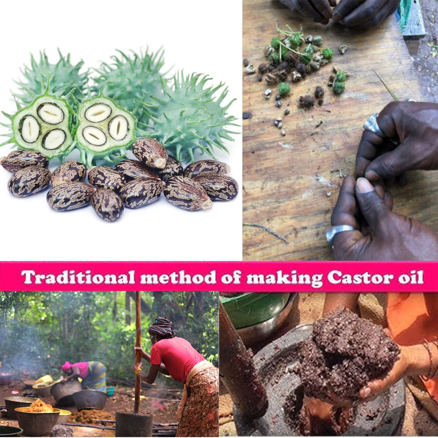 110 ml African Rosemary＆ Cloves Hot Oil