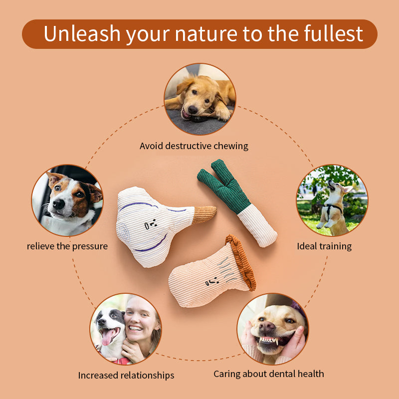 Pet Dog Plush Noise Chewing Toy Be Endurable Onion Mushroom Garlic