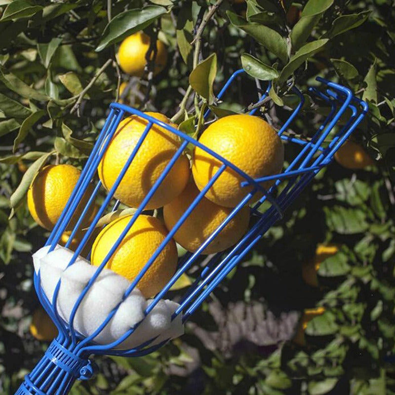 Deep Basket Fruit Picker Head Convenient Fruit Picker