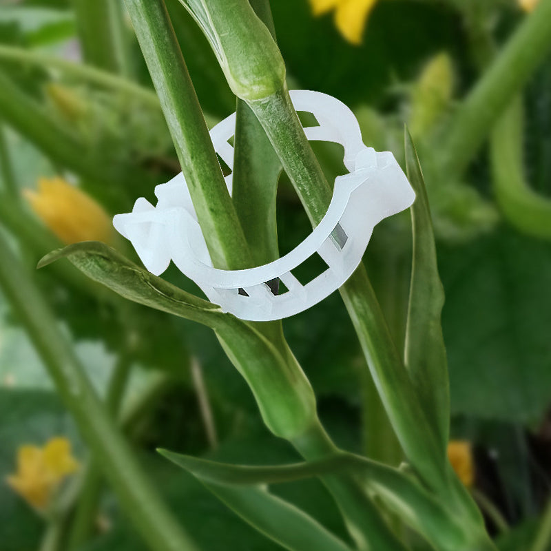 Plant Support Clips Reusable Plastic Plant Vine Protection Grafting Fixing Tool