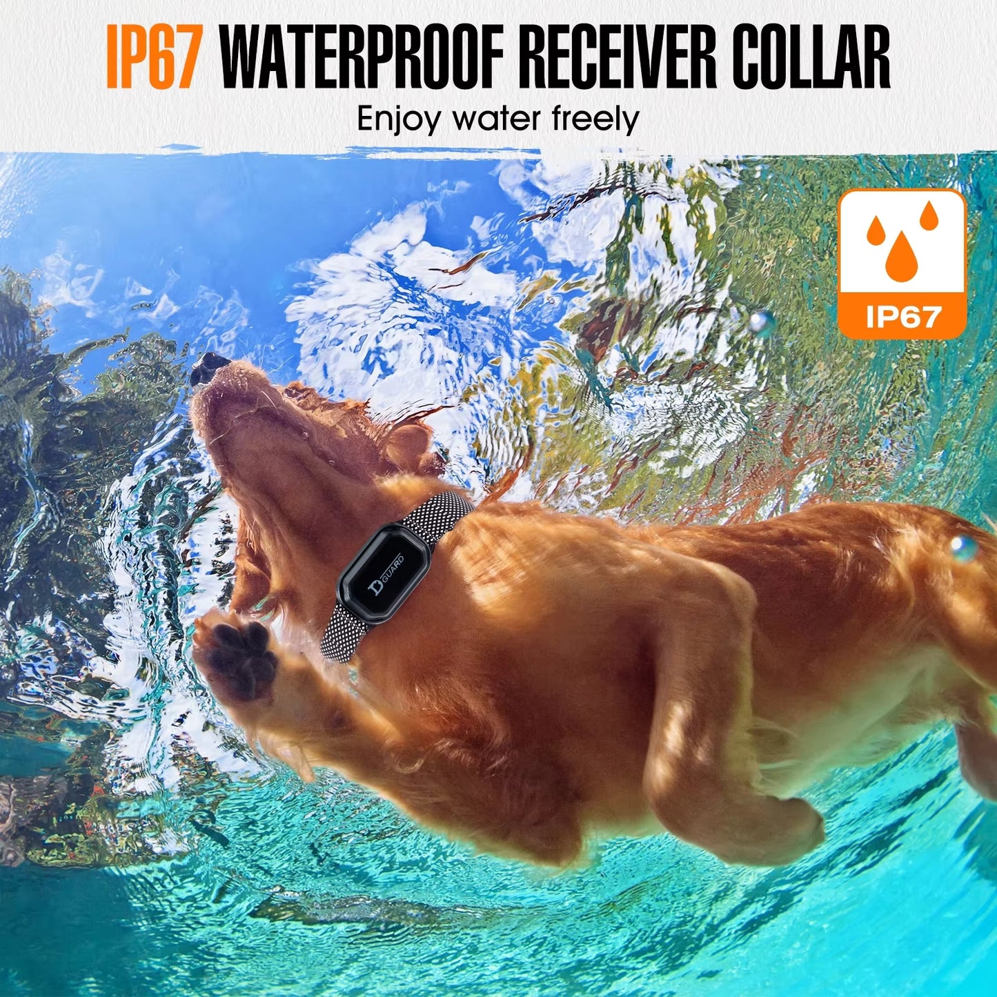 800m Digital Dog Training Collar Waterproof Rechargeable Remote Control Pet