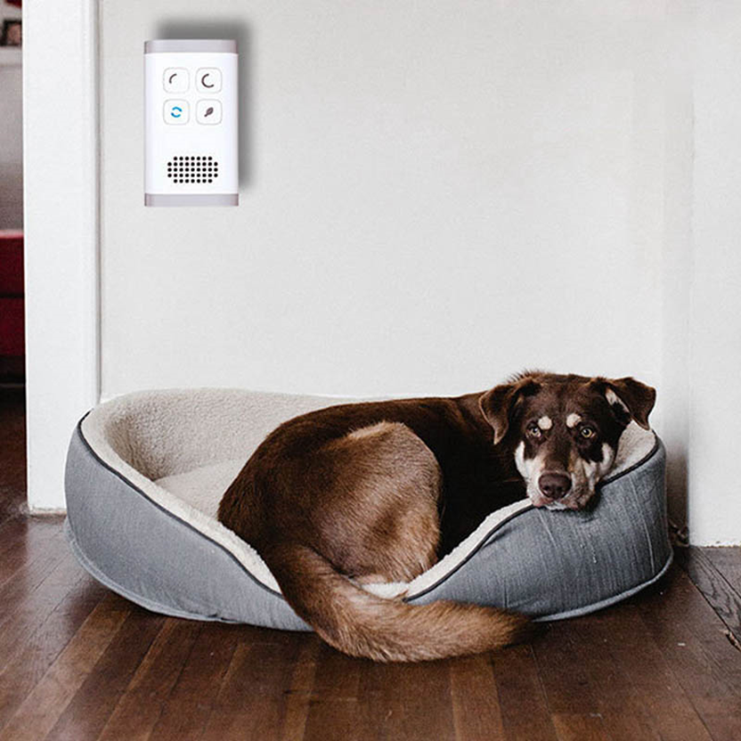 Mini Plug-in Air Purifier Ozone Generator