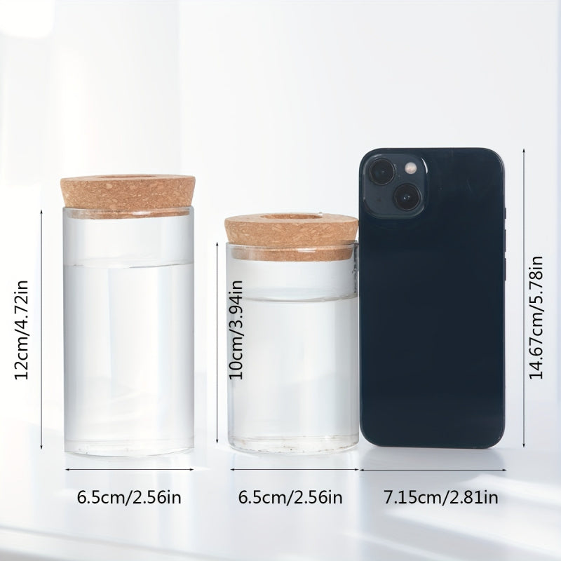 Hydroponics Plants Desktop Glass Planter Vase