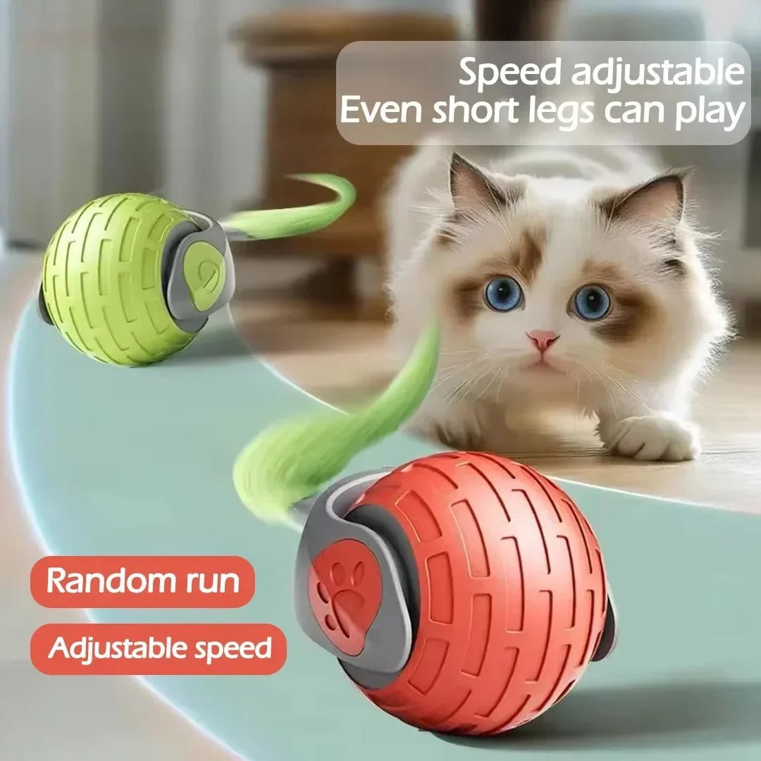 Speedy Tail 2.0 Interactive Cat Toy Rechargeable Electric Rolling Ball