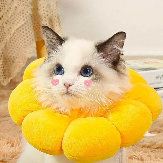 Cat Cone Collar Pet Cats After Surgery Wound Protective Collar