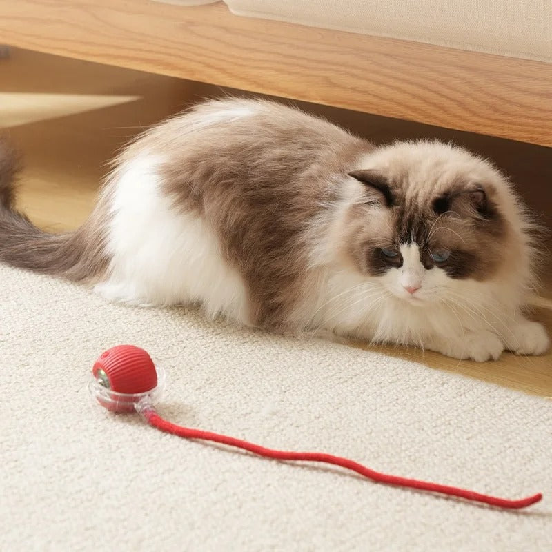 Rechargeable Cat Toys Interactive Smart Pet Interaction Automatic