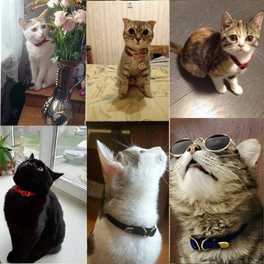 Cat Collar With Bell Safety Cat Collars Puppy Dog Collar