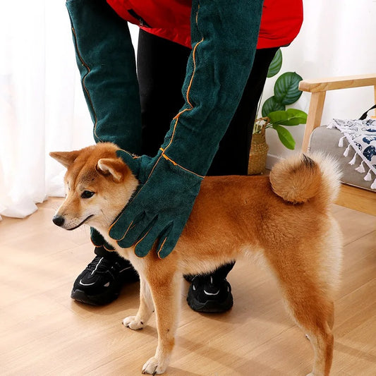Anti-bite Thick Leather Safety Glove For Animal Pet training