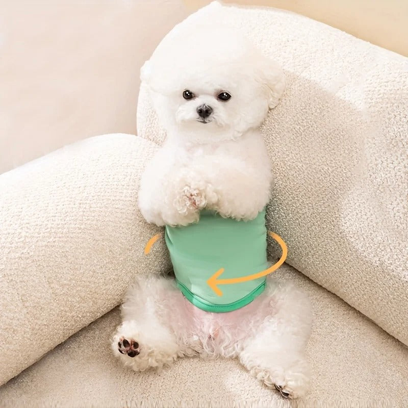 Pet Washable Diapers Physiological Pants Male Dog