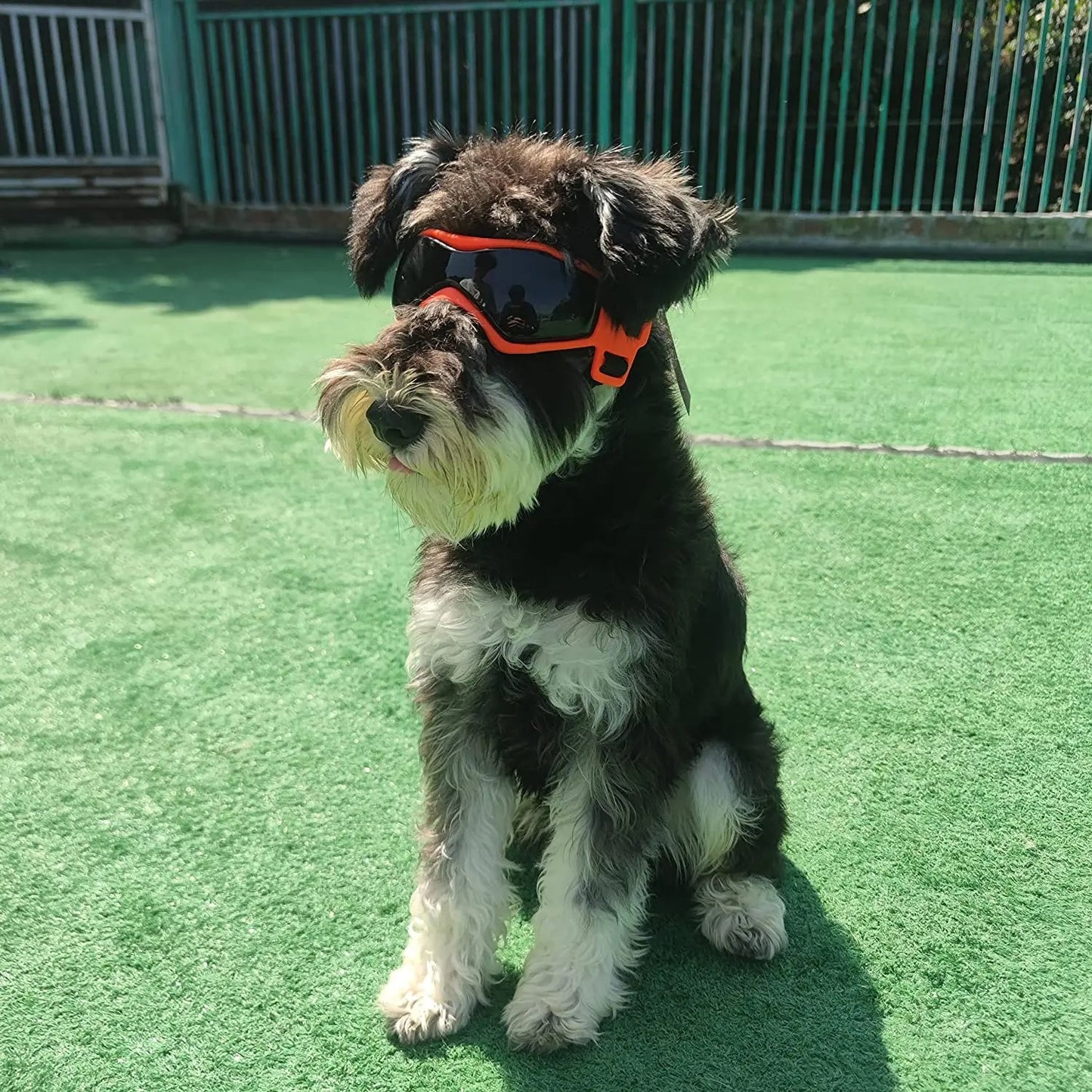 UV Protective Goggles for Dogs Cat Sunglasses Cool