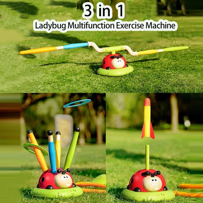 Ladybug Sport Entertainment Game Toy