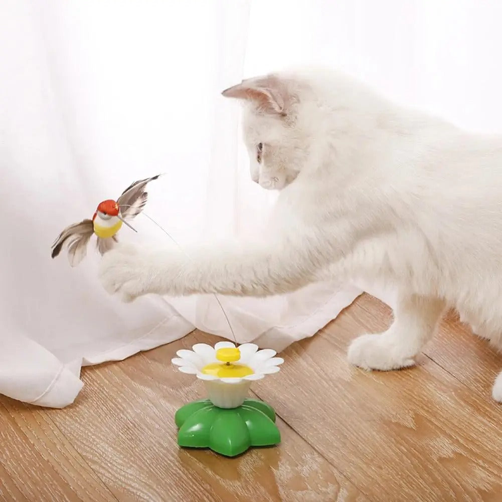 Rotating Electric Butterfly For Cats