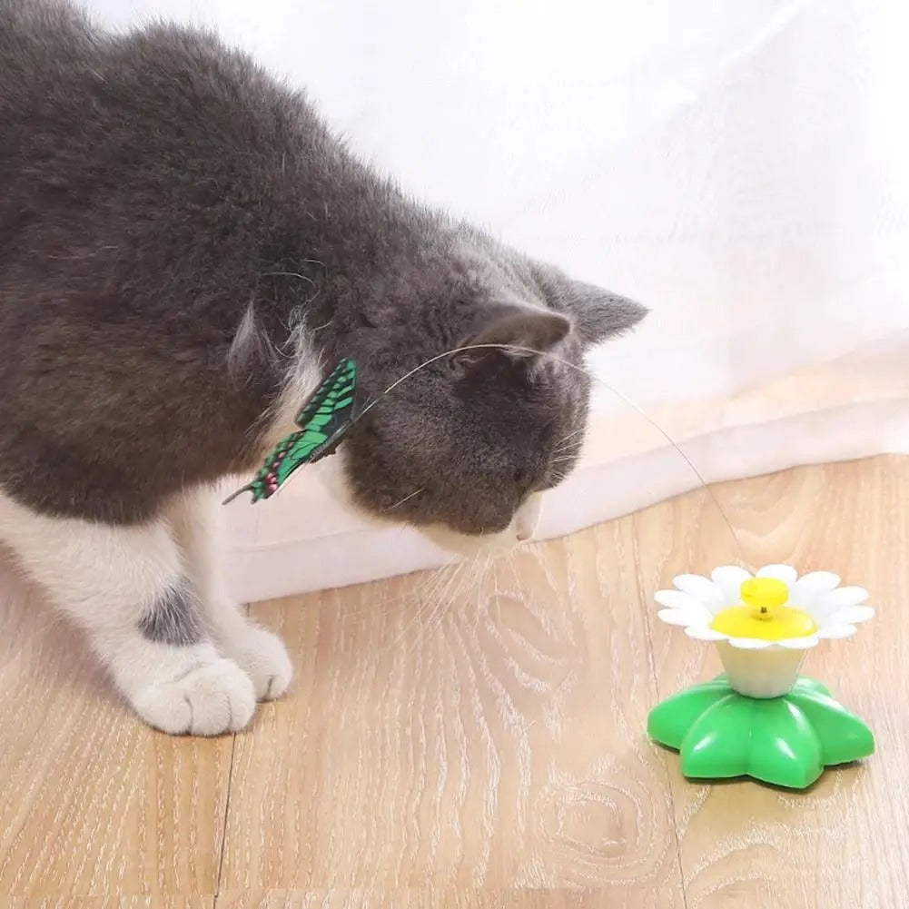 Rotating Electric Butterfly For Cats
