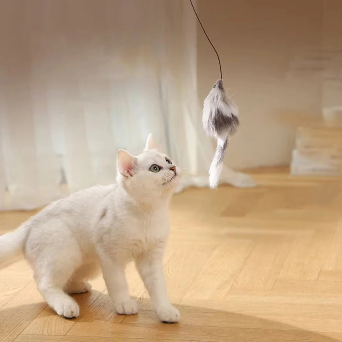Automatic Intelligent Cat Toy Interactive