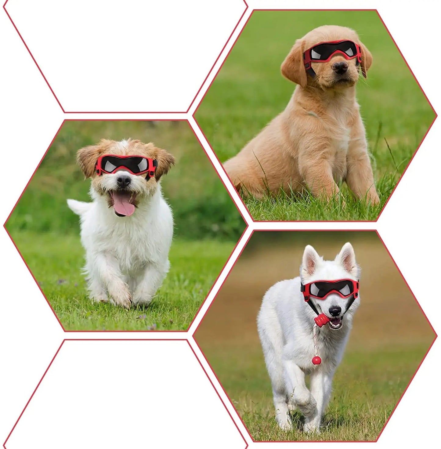 UV Protective Goggles for Dogs Cat Sunglasses Cool