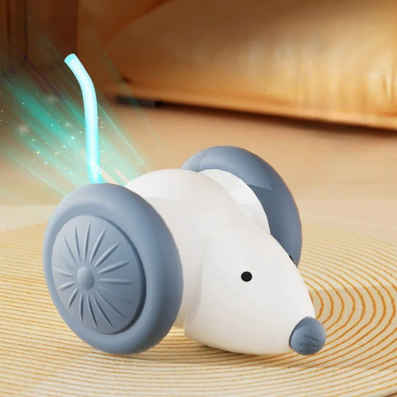 Pet toys Interactive Cat Toy Electric Mouse Car
