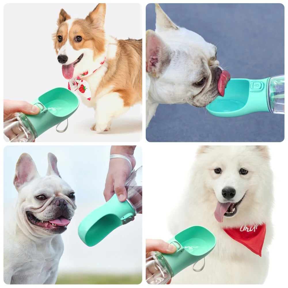 Portable Dog Water Bottle For Dogs