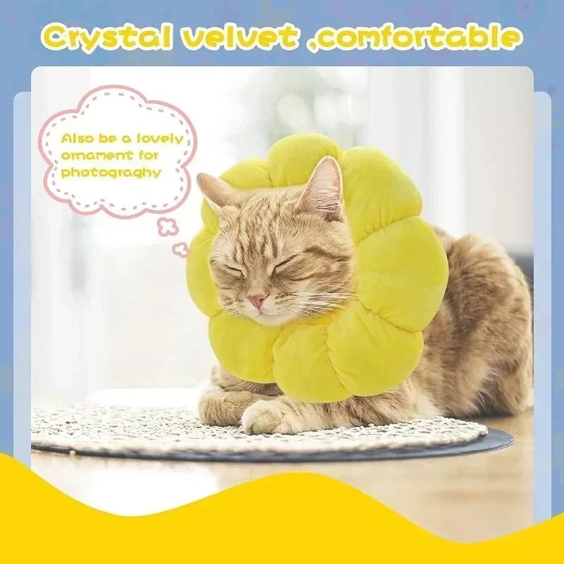 Cat Cone Collar Pet Cats After Surgery Wound Protective Collar