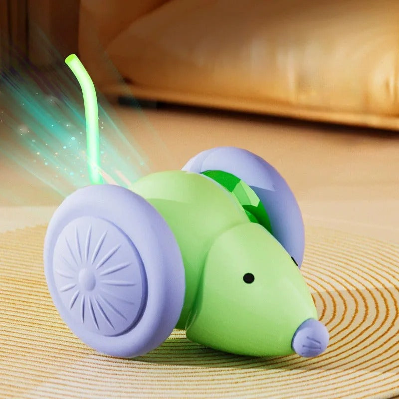 Pet toys Interactive Cat Toy Electric Mouse Car