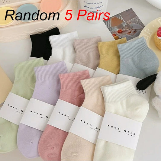 5/10 Pairs Women Macaron Colored Short Socks