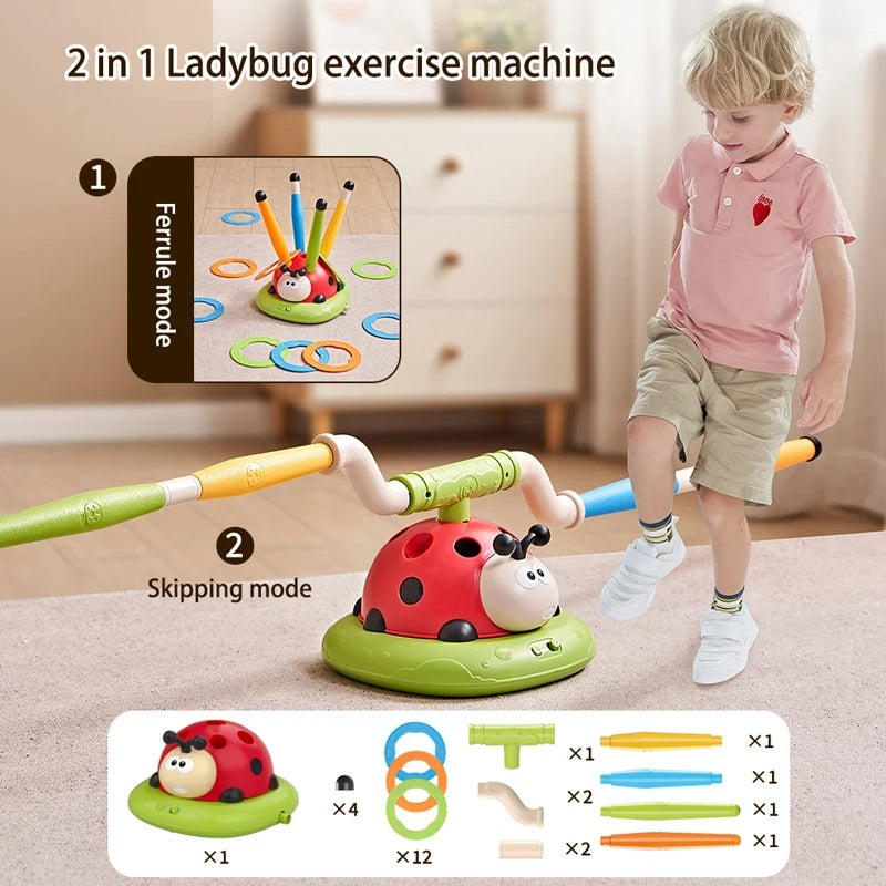 Ladybug Sport Entertainment Game Toy